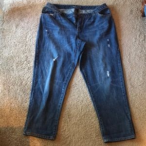 Lane Bryant Boyfriend Jeans